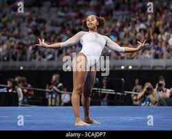 Image result for Blakey Gymnastics Club