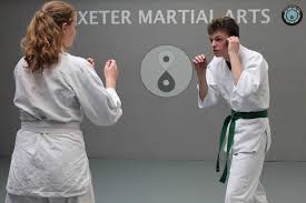 Image result for British Jujitsu Ryu