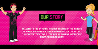 Image result for Wyvern Badminton Club