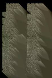 Attēlu rezultāti vaicājumam “Lacanobia contigua imago”