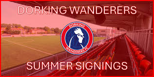 Image result for Dorking Wanderers F C
