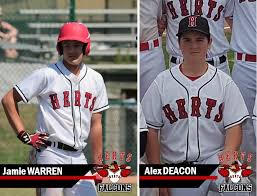 Image result for Herts Falcons