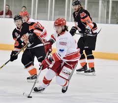 Image result for Telford Tigers