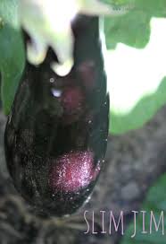 Afbeeldingsresultaat voor slim jim eggplant