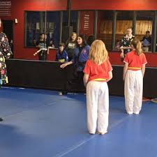 Image result for America's Best Karate