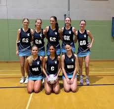 Image result for The Downs Netball Club