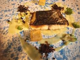 Image result for Umbrina cirrosa