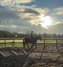 Image result for Fisher Equestrian