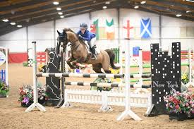 Image result for Shey Copse Riding Centre