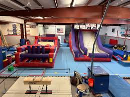 Image result for Fish trampoline and gymnastics club