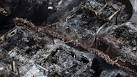 COLORADO FIRE VICTIM FILMS HER OWN EVACUATION - CNN.