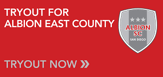 Image result for Staines Albion Fc