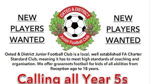 Image result for Oxted & District Junior Fc