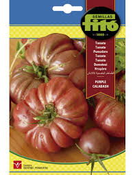 Afbeeldingsresultaat voor purple calabash tomato