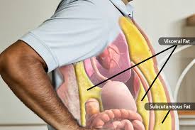 Image result for fat