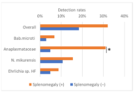 Attēlu rezultāti vaicājumam “Sorex sp.”