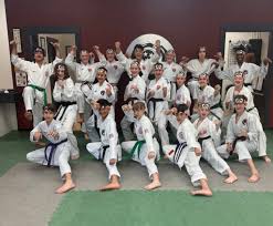 Image result for Vision Martial Arts