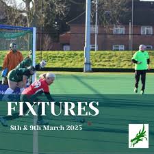 Image result for Norwich Dragons Hockey Club