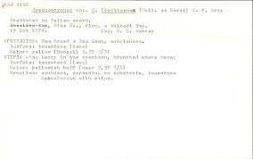 Attēlu rezultāti vaicājumam “Hymenoscyphus fructigenus var. coryli”