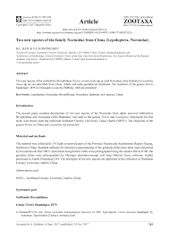 Attēlu rezultāti vaicājumam “Lacanobia contigua imago”