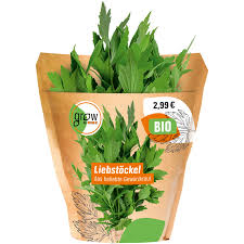 Image result for Liebstöckel