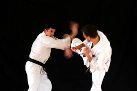 Image result for Holboln Shorinji Kempo Club