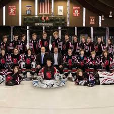 Image result for Coventry Triads Octopush Club