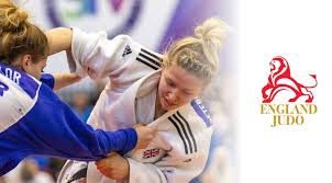 Image result for Judo Excellence