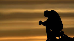 Kết quả hình ảnh cho hinh anh