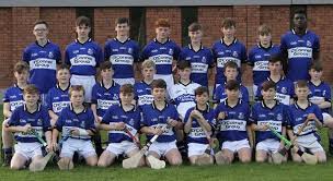 Image result for Sarsfields Hurling Club