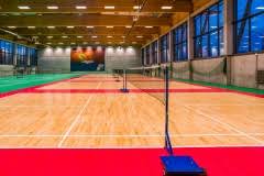 Image result for Holyrood Polska Badminton Club