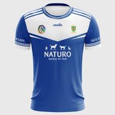 Image result for Collegeland O`rahillys Gaelic Football Club