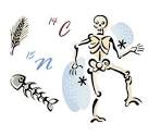 Improved Timescales from Bone Dates: Isotopes, Reservoir and Diet