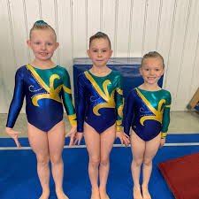 Image result for Lincoln Gymnastics Club