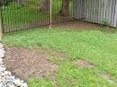 begin to plant grass seed,