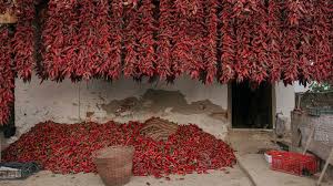 Image result for Paprika