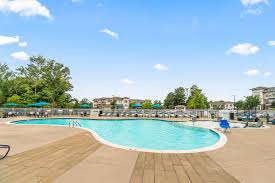 Image result for Sycamore Ttc