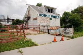 Image result for Shey Copse Riding Centre