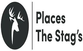 Image result for Southampton Stags