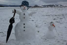 Image result for Schneemann