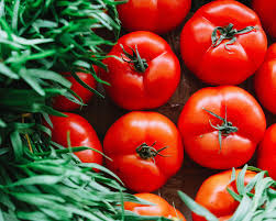 Attēlu rezultāti vaicājumam “Lycopersicon esculentum leaf”