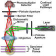 Theory of Confocal <b>Microscopy</b>
