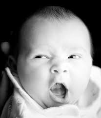 Image result for geeuw