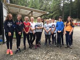 Image result for Laser Mayhem