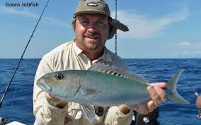 Image result for Aprion virescens