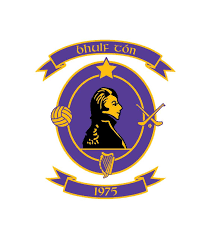 Image result for Wolfe Tones Gaelic Athletic Club