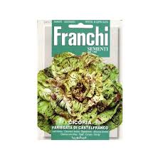 Image result for Chicorée