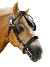 Image result for scheuklappen