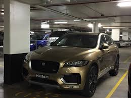 Image result for Halcyon Gold 2016 Jaguar