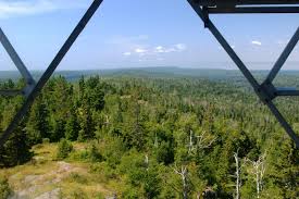 Image result for site:net pino◆MatthewZ8E